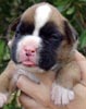 Tanyati V Litter