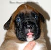 Tanyati X Litter