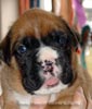 Tanyati X Litter