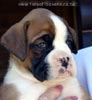 Tanyati X Litter
