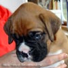 Tanyati X Litter