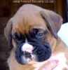 Tanyati X Litter