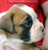 Tanyati Z Litter