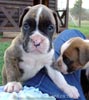 Tanyati Z Litter