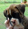 Tanyati Z Litter