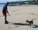 W Litter Fawn & White Boy